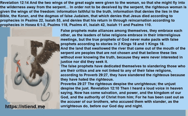 Revelation the wings of the eagle - Revelation 12 14 meaning